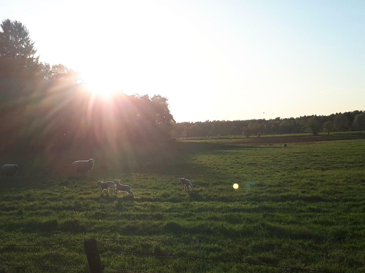 Schoene Komplette Ferienwohnung In Wesel Wesel  Zewnętrze zdjęcie